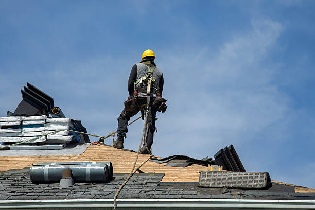 Professional Roof Replacement technician working in Westwood, CA